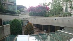 The Nexus (D21), Condominium #169031832